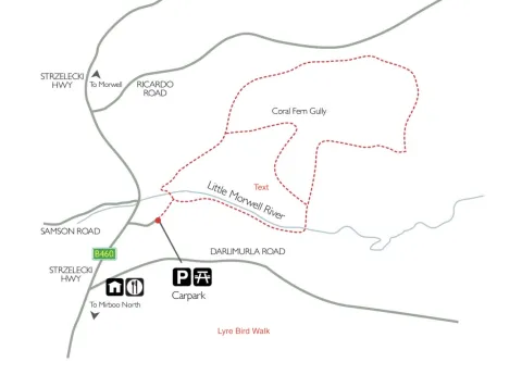 Lyrebird Walk