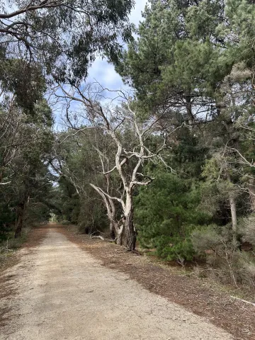 Wonthaggi Rail Trial